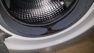 Mouldy Washing Machine